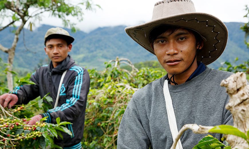 20424 Two Coffee Farmers Indonesia 870