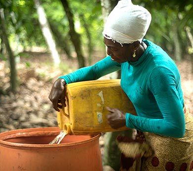 Beatrice is a cocoa farmer at a Fairtrade cooperative in Ghana. For Beatrice, climate change is one of the biggest challenges she faces – for several years rain no longer comes when she expects it, effecting her farm's productivity and making it hard to plan activities on her farm.