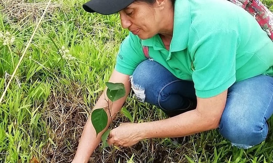 COOBANA woman planting 870
