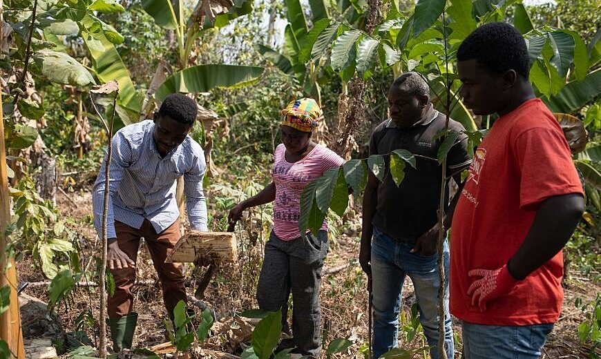 Fairtrade Africa Sankofa Project 2022 demonstration 870