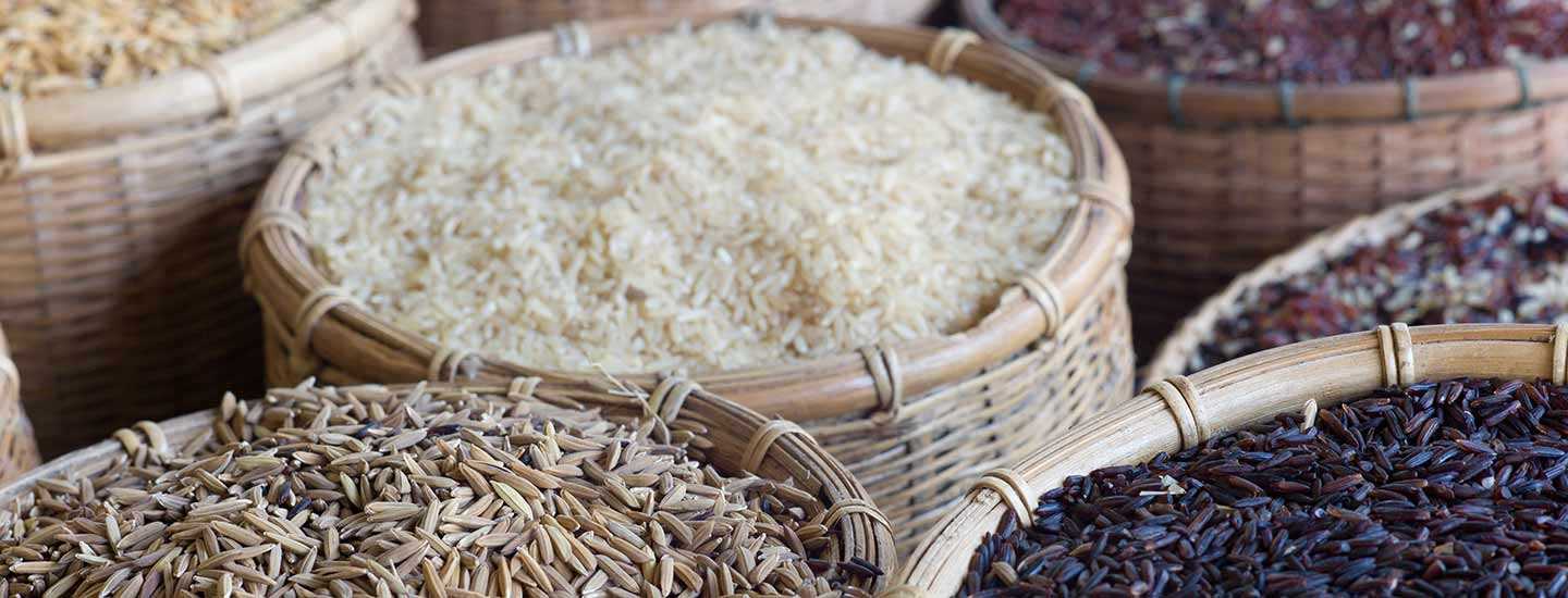 Image of rice varieties